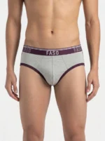 FASO Men's Briefs - P.PURPLE & GREY