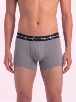 2 Pack FCUK Trunks For Men - UL.GREY & TRUE BLUE - Image 2