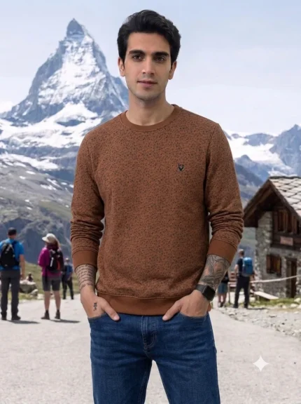 Men's Allen Solly Printed Sweatshirts